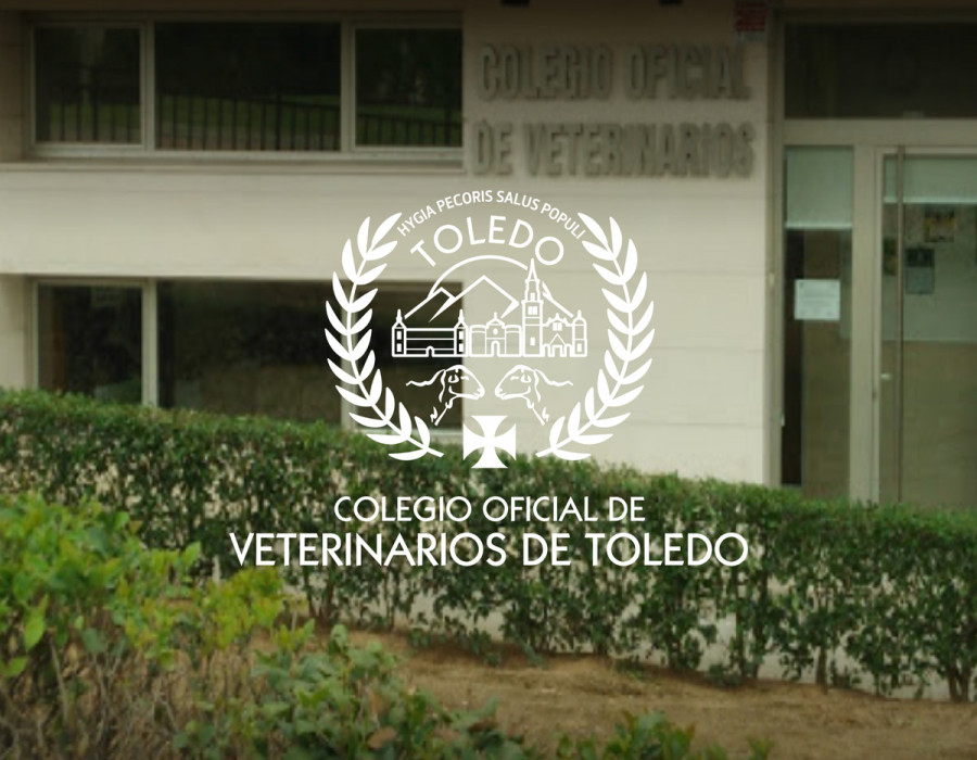Colegio veterinario toledo (2)