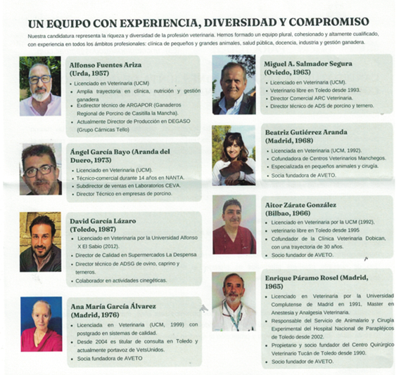 Candidatura toledo
