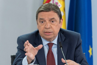 España alerta ante el segundo caso de dermatosis nodular contagiosa en Italia
