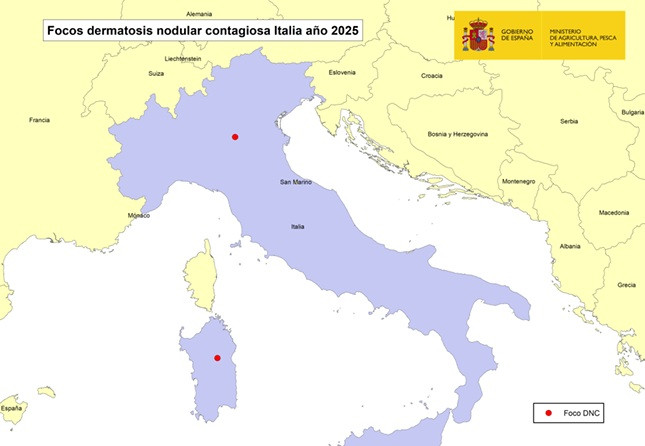 Mapa dermatosis nodular