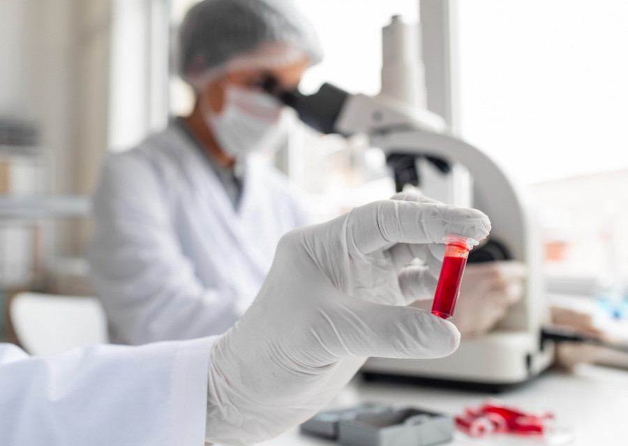médicos veterinarios melanoma oral