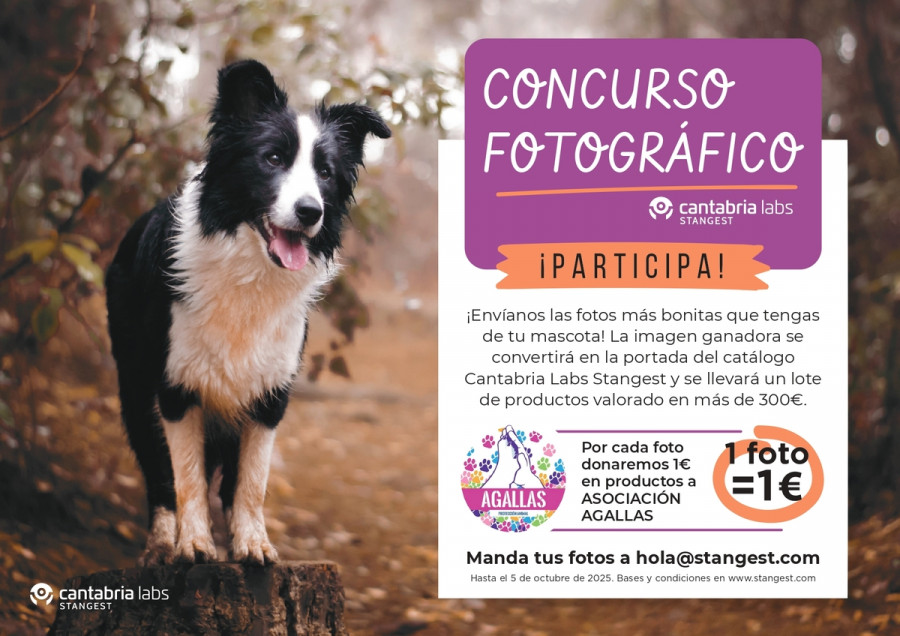 concurso fotográfico stangest