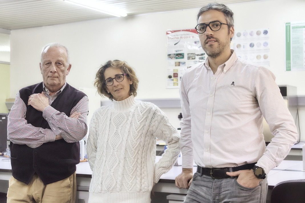 Veterinarios españoles, creadores de la primera vacuna a nivel mundial contra la disentería porcina
