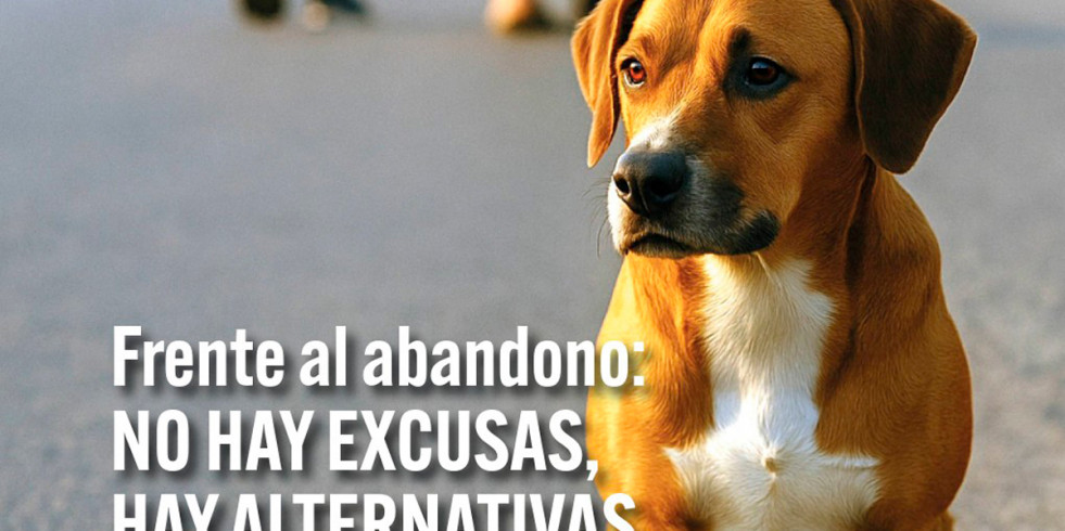 “Las altas tasas de abandono que se dan por estas fechas han de hacernos reflexionar como sociedad
