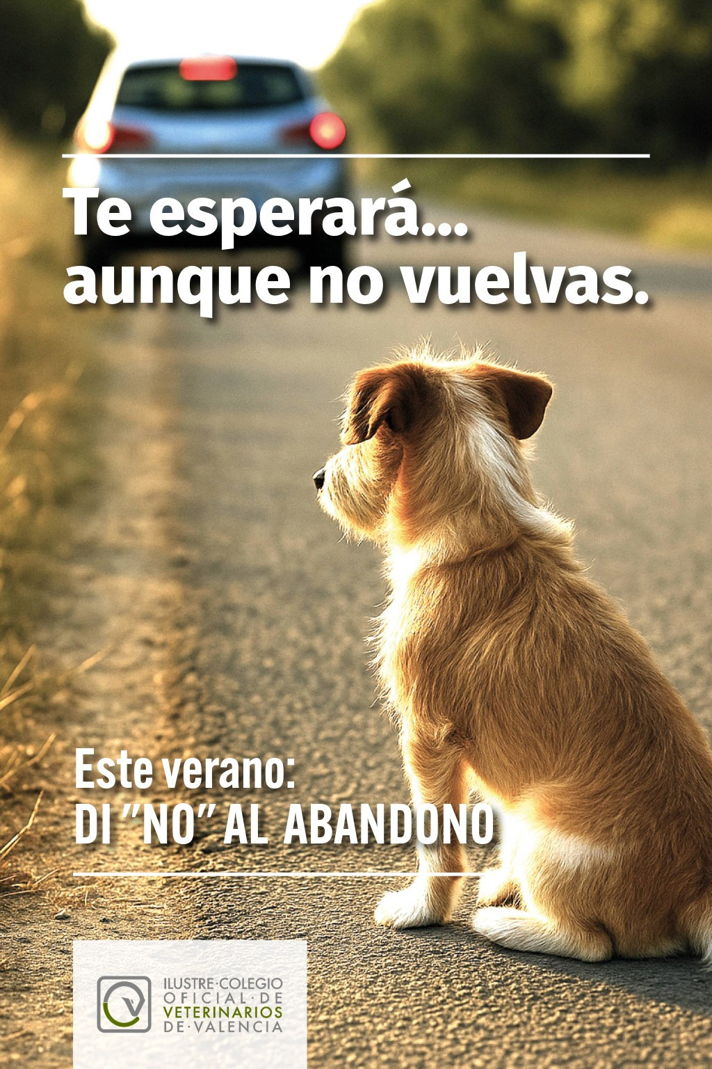 CARTEL 06