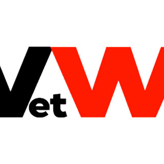 Vet Warriors