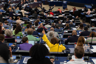 ¿Cómo quiere regular la Unión Europea el comercio de mascotas?