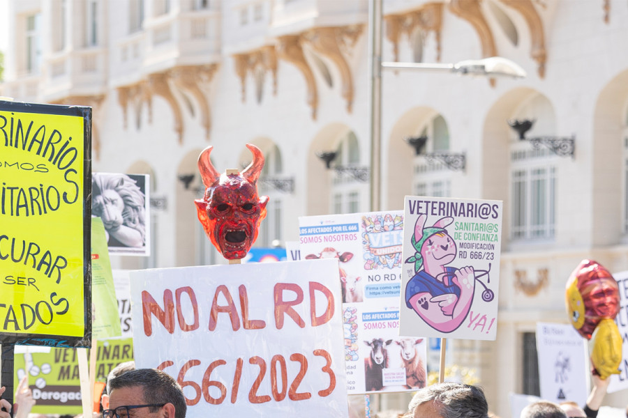 Manifestación rd666