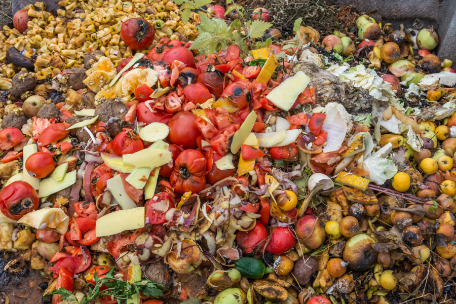 Desperdicio alimentario ley pérdidas alimentos