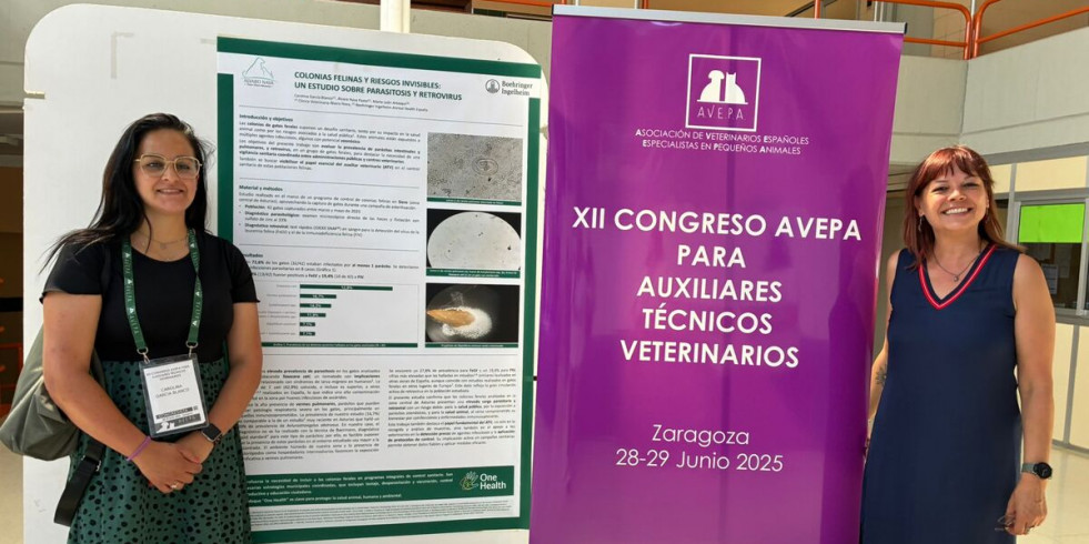 Boehringer Ingelheim transmite las novedades sobre leishmaniosis y salud felina