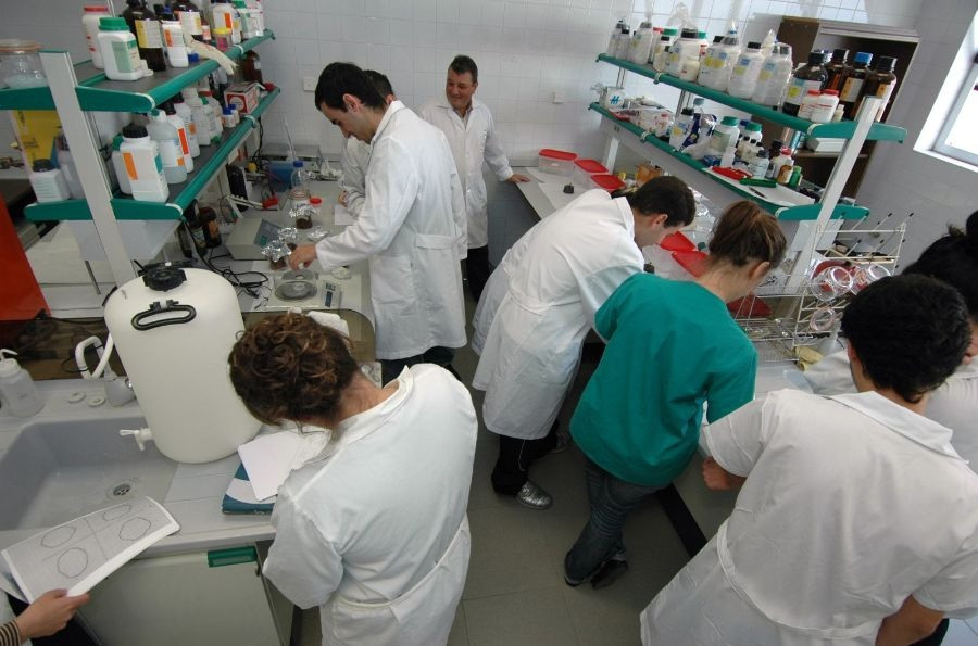 Facultad veterinaria ulpgc estudiantes