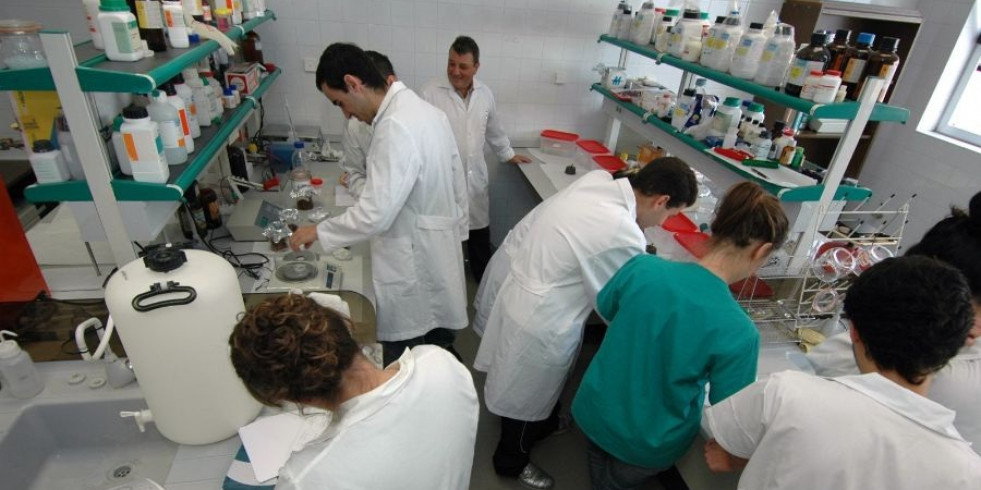 Estas son las primeras notas de corte para estudiar Veterinaria en España