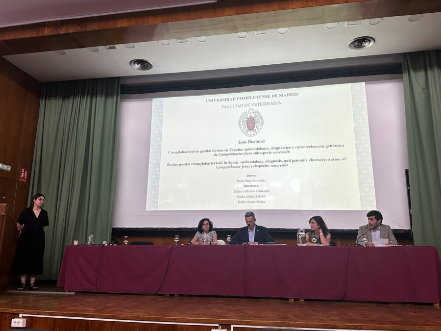 Nerea pena fernández tesis Campilobacteriosis genital bovina España (1)