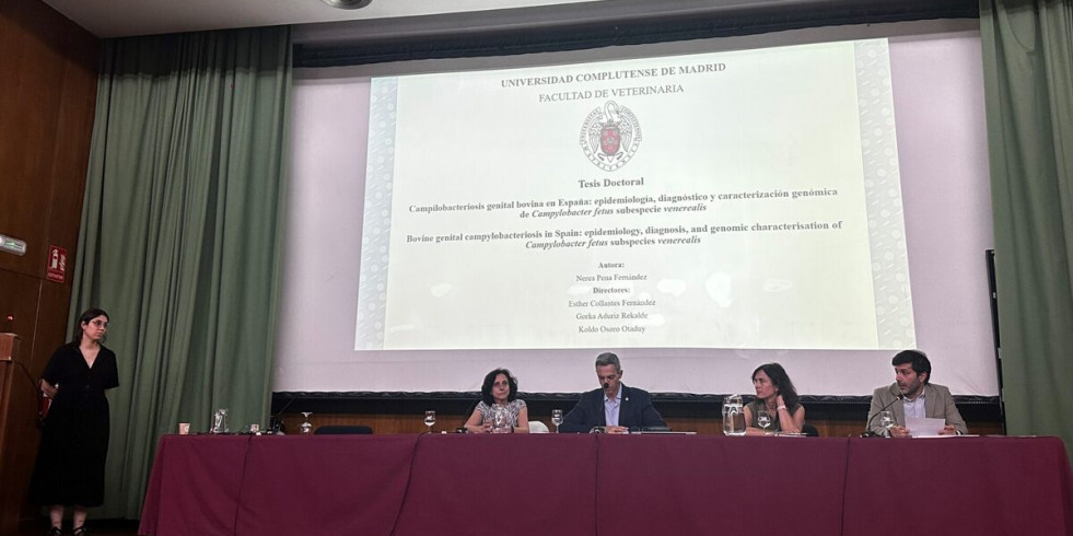 La tesis sobre Campilobacteriosis genital bovina en España de Nerea Pena obtiene la calificación de Sobresaliente Cum laude