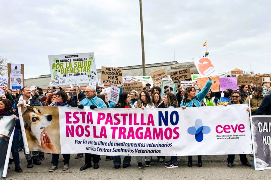 Protesta CEVE