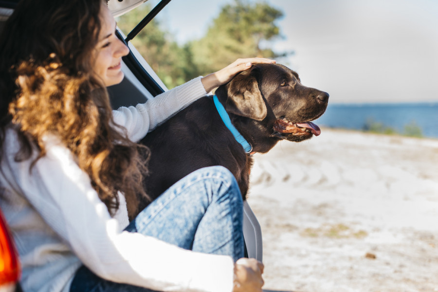 Vacaciones con perro