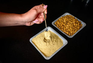 Proteína de pollo fermentada con levadura: segura y nutritiva para perros