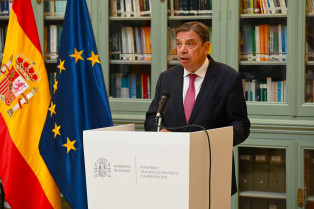 Solicitan al Ministerio de Agricultura una reunión urgente ante el aumento de casos de lengua azul