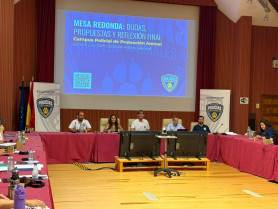 Veterinarios, juristas y agentes denuncian malas prácticas en la trazabilidad de équidos y en su bienestar