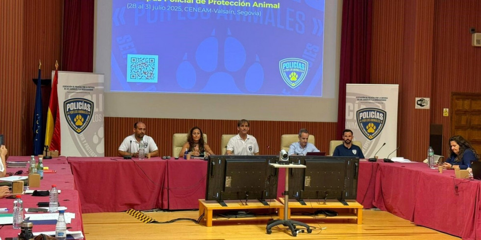 Veterinarios, juristas y agentes denuncian malas prácticas en la trazabilidad de équidos y en su bienestar