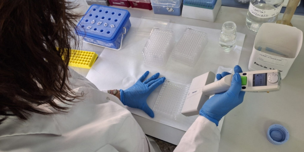Agricultura distribuye test para detectar garrapatas en cerdos y prevenir la peste porcina africana