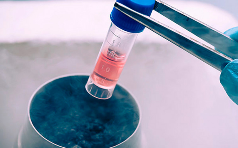 Avanza el proyecto de CryoZoo, el biobanco de células animales único en el mundo en Barcelona