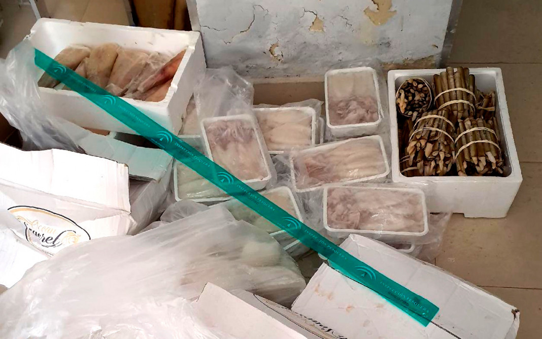Intervienen más de 500 kg de productos pesqueros sin garantía de seguridad alimentaria