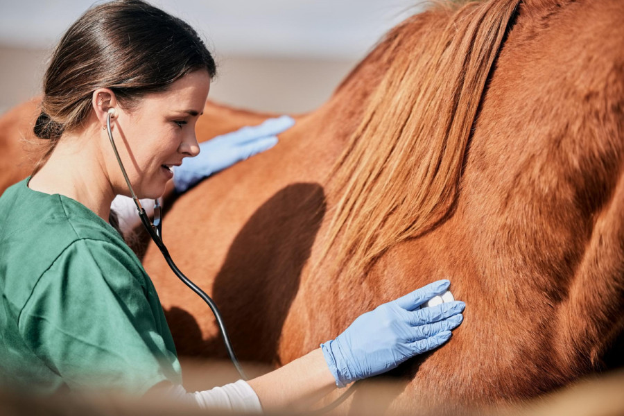 Medicamento veterinario alerta defecto calidad