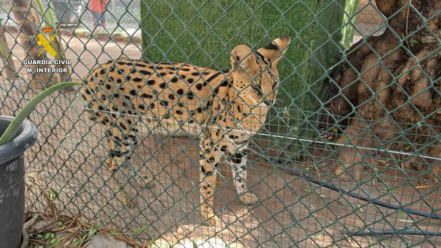 Zoologico de animales exoticos