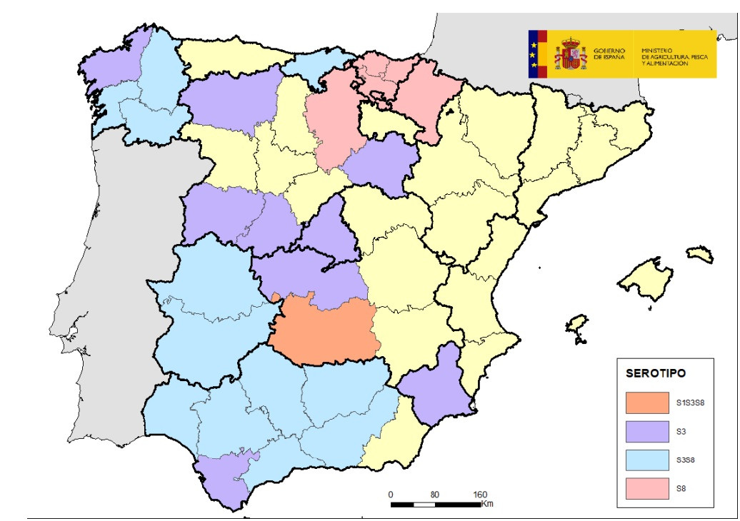 Mapa lengua azul