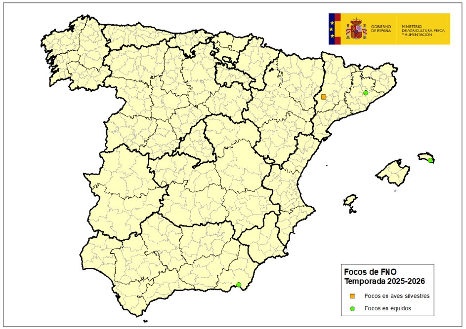 Mapa 2 baleares fiebre