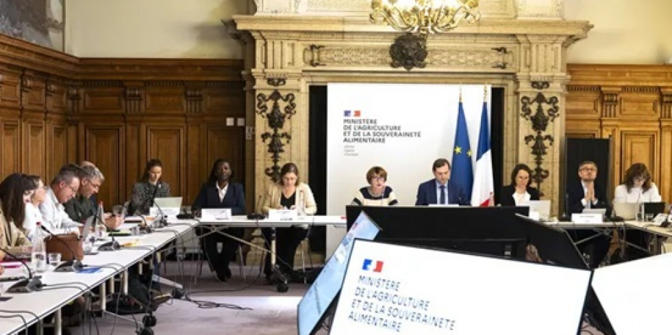 Francia se moviliza para erradicar la dermatosis nodular contagiosa
