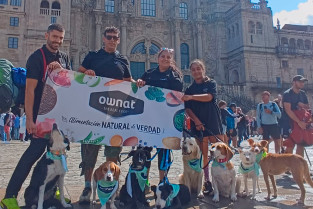 Ownat apoya una iniciativa para reivindicar un Camino de Santiago más accesible para mascotas