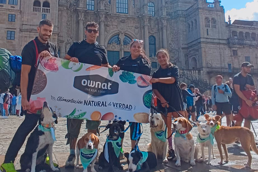 Ownat camino santiago