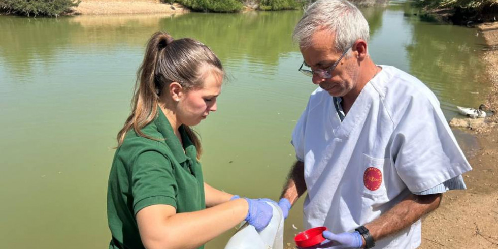 Alerta sanitaria en parques de Sevilla y Málaga ante un brote gripe aviar, con varias personas vigiladas