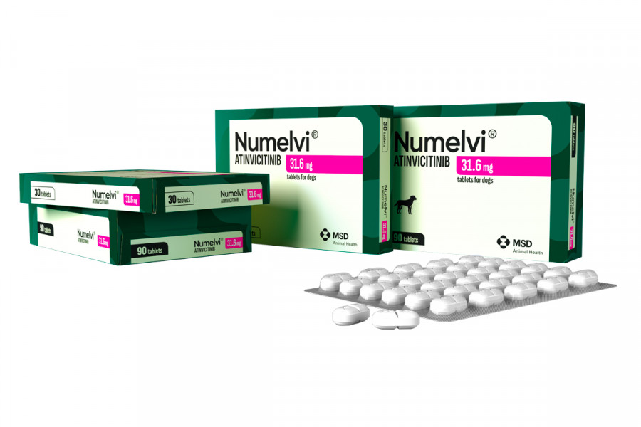 Numelvi msd