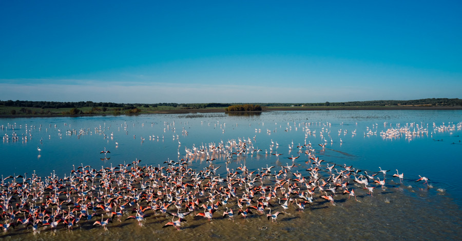 Parque nacional doñana (1)