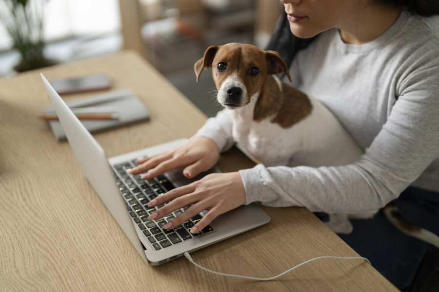 Pet lifestyle together with owner (1)
