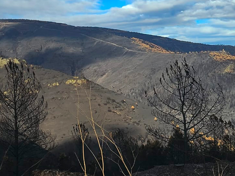 El monte arrasado por el fuego