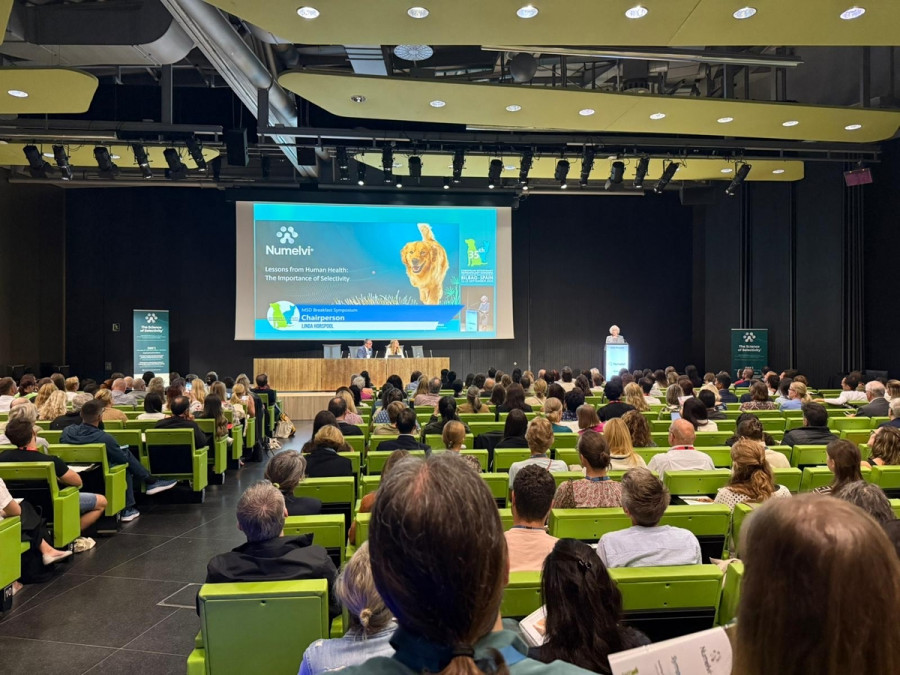 NdP MSD Animal Health congreso dermatología