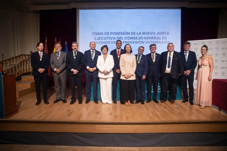 Nueva junta de gobierno OCV
