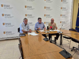 Declaran a Mallorca zona afectada por el serotipo 3 de lengua azul