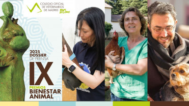 Máximo Huerta, el caballo terapeuta ‘Duque´y el proyecto Pazo de Vilane, premios Bienestar Animal del Colegio de Veterinarios de Madrid