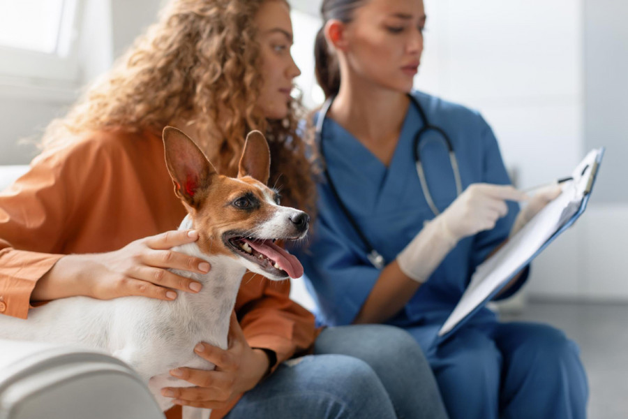 Nutrición clínica veterinaria (1)