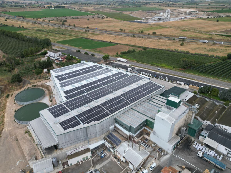 Planta ownat cotécnica placas solares (1)
