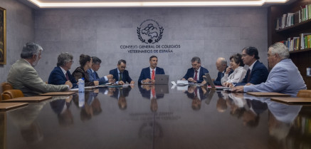 La Organización Colegial crea una comisión para presentar la ILP para modificar la normativa del medicamento veterinario