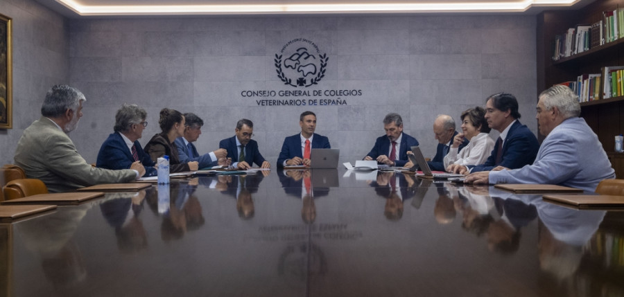JUNTA DIRECTIVA OCV 2025 organización colegial