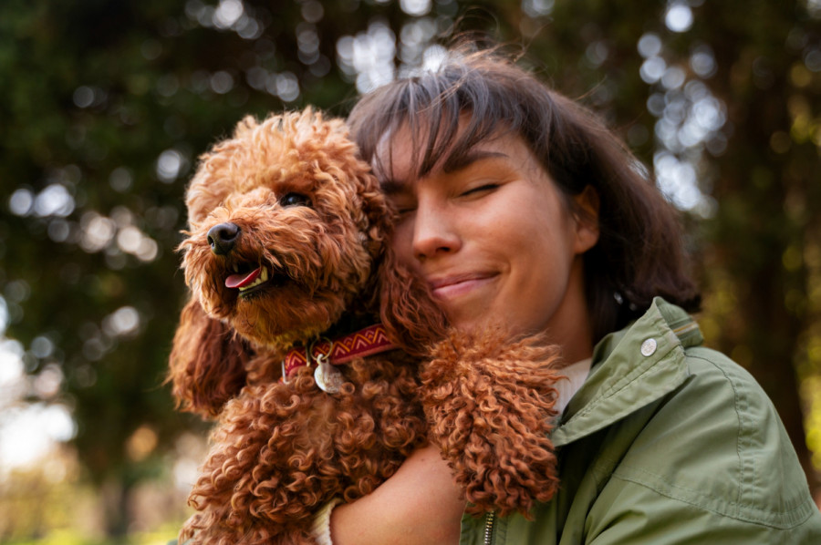 Proponen a los perros como modelo para probar nuevas terapias en una retinopatía genética humana
