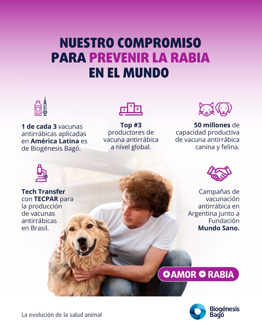 Rabia Infografia