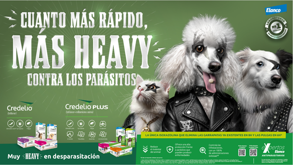 Campau00f1a desparasitaciu00f3n elanco